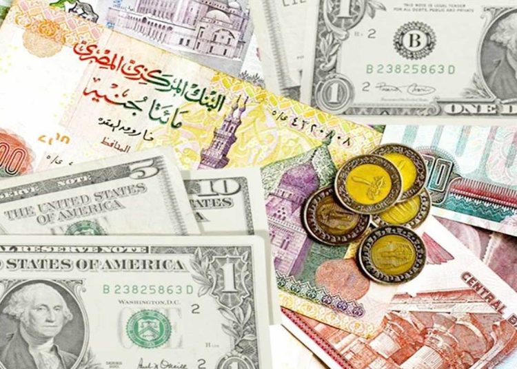 الأخضر اليوم بعد رحلة هبوط سعر الدولار في البنوك المصرية 5 فبراير 1 سعر الدولار في البنوك المصرية