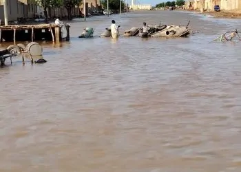 كارثة السودان