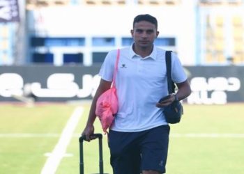 محمد حمدي