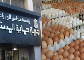 من هم التجار الذين أشعلوا سعر البيض شبكة فساد أربكت الأسواق