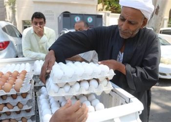 سعر البيض في منافذ وزارة التموين