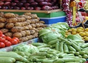 انخفاض سعر الخضراوات بالأسواق مسئول حكومى يحسم الموعد