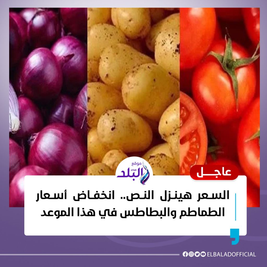 انخفاض سعر الخضراوات بالأسواق مسئول حكومى يحسم الموعد 2 موعد انخفاض سعر الخضراوات