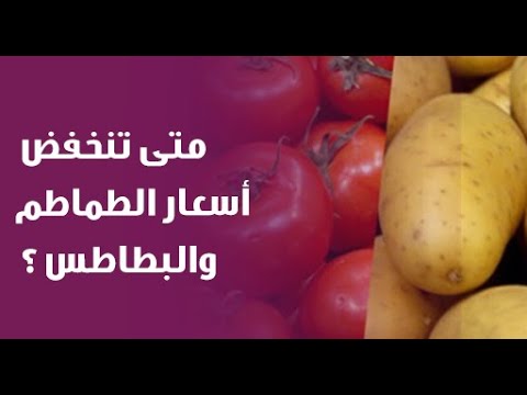 انخفاض سعر الخضراوات بالأسواق مسئول حكومى يحسم الموعد 3 موعد انخفاض سعر الخضراوات