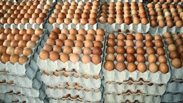 زيادة أسعار البيض تثير الجدل بعد تحويل 21 من كبار المنتجين إلى النيابة العامة 4 2406760 0 8