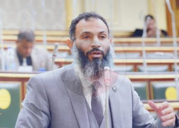 أحمد حمدي خطاب نائب حزب النور