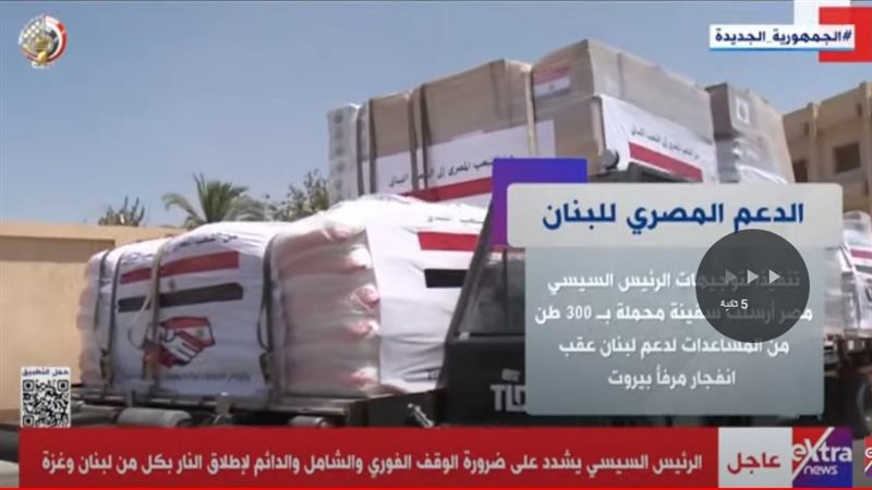تصريح الرئيس السيسي لرئيس الحكومة اللبناني بشان ما يحدث فى لبنان 3 تصريح الرئيس السيسي لرئيس الحكومة اللبناني