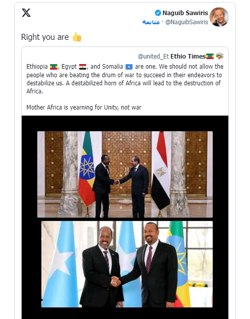 تعليق رجل الأعمال نجيب ساويرس على الأزمة الدائرة بين مصر والصومال وإثيوبيا 2 تغريدة رجل الأعمال نجيب ساويرس