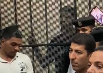 التهم والعقوبات المحتملة على أحمد فتوح