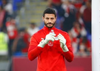 الشناوي