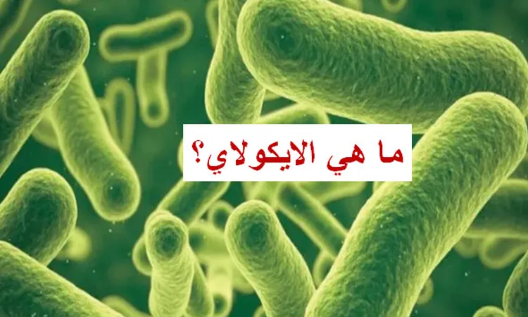 معلومات عن بكتيريا الإيكولاي وأعراضها عقب بعد إصابة حالات بها في أسوان 5 أعراض بكتيريا الإيكولاي
