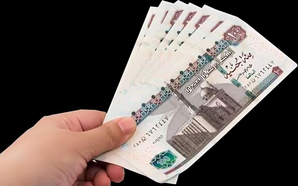 بشرى سارة لـ موظفي الحكومة دعم من الدولة بعلاوة 5% وترقيات جديدة 3 الفئات المستفيدة من الترقية والعلاوة
