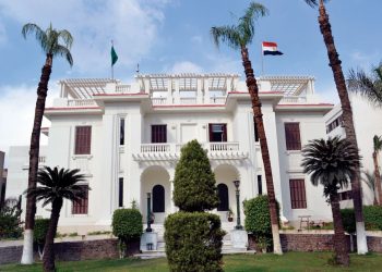 تفاصيل بيان محافظة الجيزة عقب العثور على ورل نيلي في قطعة أرض بالبراجيل 12 بيان محافظة الجيزة