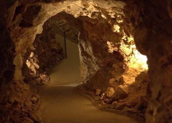 مداهمة الشرطة لمنزل المغني ديدي