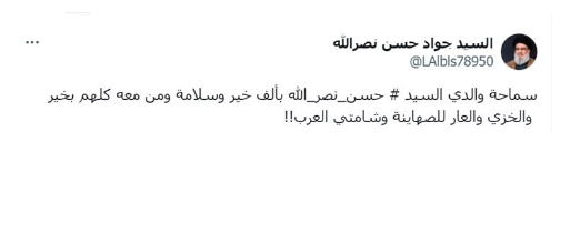 حساب منسوب لـ نجل حسن نصر الله يثير الجدل الكبير بتصريح والدى بخير عقب إعلان اغتياله رسميًا 3 نجل حسن نصر الله يثير الجدل الكبير بتصريح والدى بخير