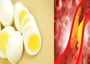 مفاجأة لمرضى الكوليسترول كم بيضة في اليوم يجب تناولها