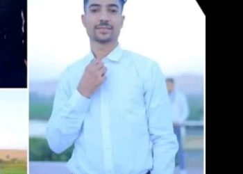 مينا موسى