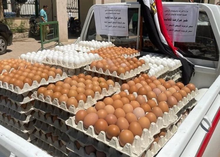 مفاجأة في سعر البيض اليوم 24-10-2024 بعد قرار استيراده 1 سعر البيض