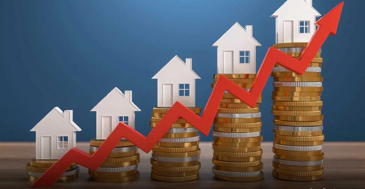 بالخطوات الإسكان تعلن رسميًا طريقة الاستعلام على نتيجة شقق محدودي ومتوسط الدخل 4 زيادة أسعار الشقق