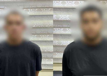قضية إنهاء حياة ابن السفير