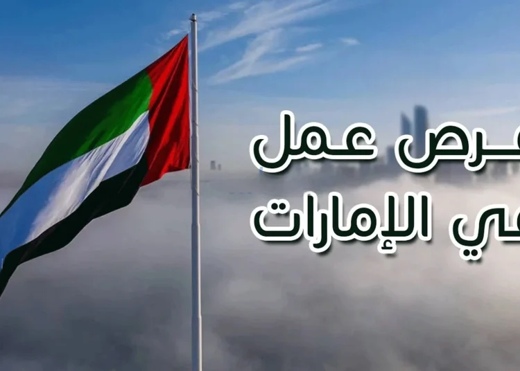 كيفية التقديم على فرصة عمل في الإمارات مميزة شاملة الإقامة والتأشيرة 1 elaosboa40658 124