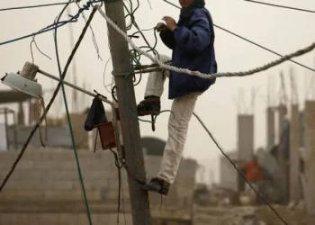 لص إشارات الطبق