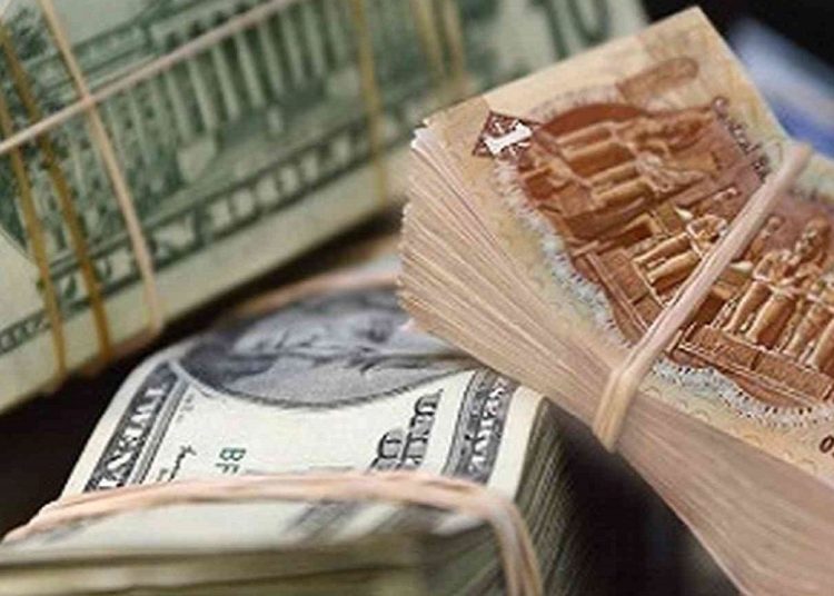 تعويم الجنيه الفترة القادمة الحكومة تحسم الجدل بتصريح مهم 1 gneh w dolar