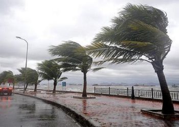 نشاط الرياح