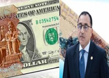 تراجع أسعار الدولار يؤكد تصريحات الحكومة زمن التعويم انتهى ومفاجأة خلال الفترة المقبلة
