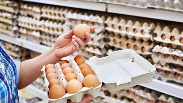 بشرى سارة تزفها شعبة الدواجن بشأن سعر البيض المحلي 4 طرح البيض المحلي