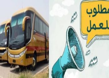 فرص عمل تعلنها النقل البرى بمرتبات مجزية اعرف الأوراق والشروط المطلوبة