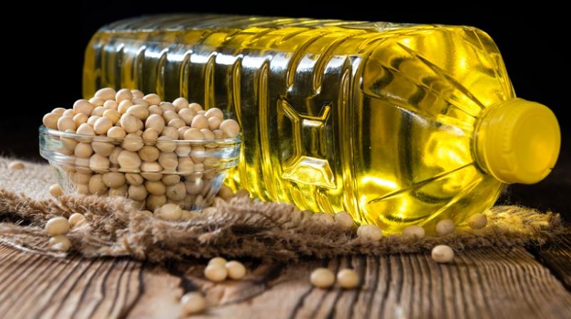ارتفاع سعر الزيت بالأسواق زيادة تصل لـ 9 جنيه في الزجاجة 3 سعر الزيت بالأسواق