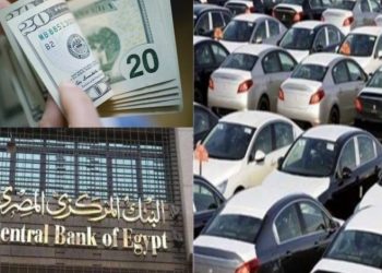 توفير المركزي للدولار