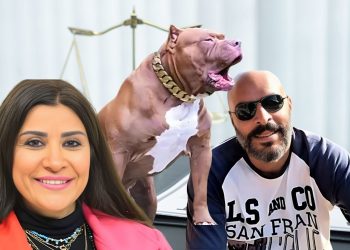 زوج المذيعة أميرة أبو شنب