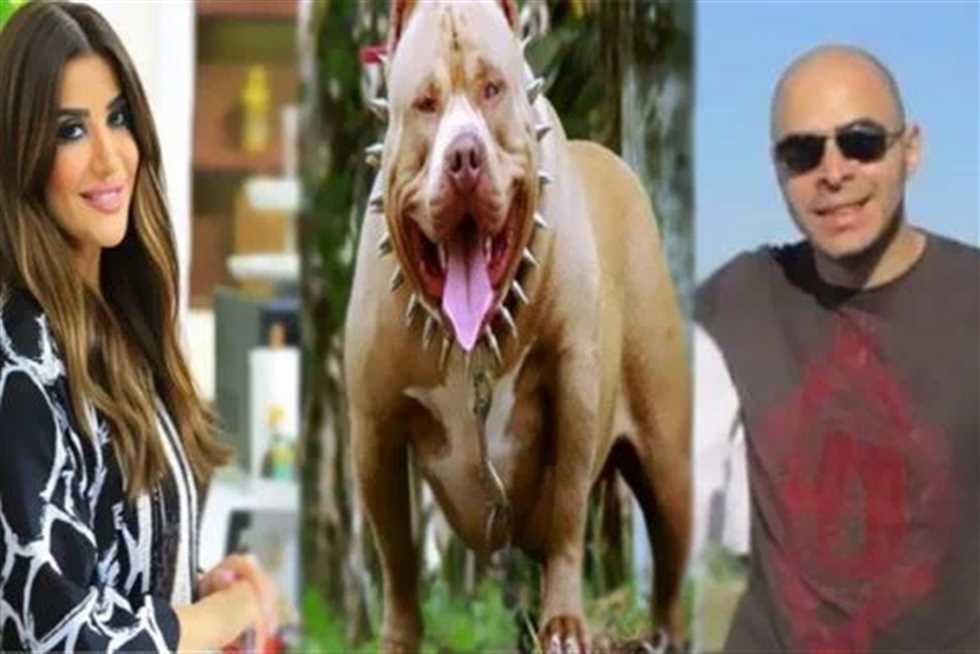 تفاصيل إلزام زوج المذيعة أميرة أبو شنب دفع 30 مليون جنيه تعويض لورثة ضحية كلب وكشف مده الحبس عقب تقليلها 3 زوج المذيعة أميرة أبو شنب