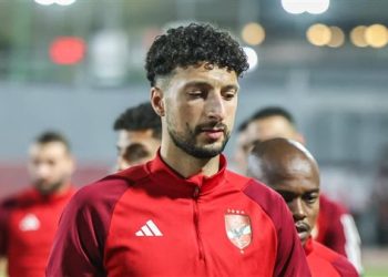 وسام أبو علي