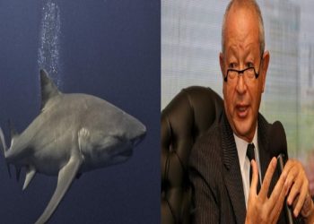 تعليق نجيب ساويرس على وفاة سائح في هجوم قرش بمرسى علم أوقفوا هذه الممارسات