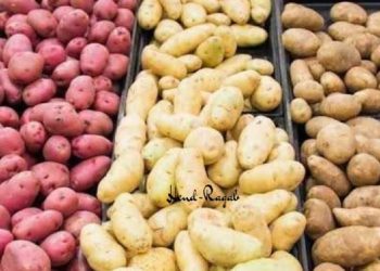 كيفية التفرقة بين البطاطس التحمير والطبخ عشان ماتحتاريش وأنت بتشتري