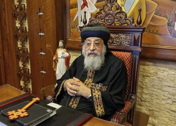 بالصور البابا تواضروس الثاني عبر زوم يلتقي كهنة نورث كارولينا