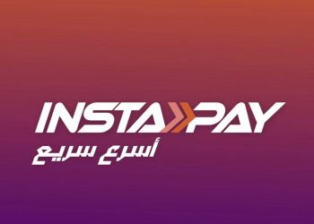 إنستا باي البنك المركزي