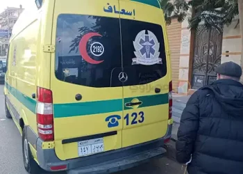 قضية طفلة المرج