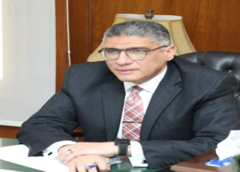 محافظ الجيزة