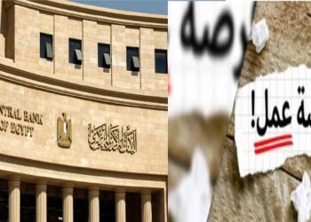 اعرف شروط وظائف البنك المركزي المصري 3 تخصصات مطلوبة 11 اعرف شروط وظائف البنك المركزي المصري 3 تخصصات مطلوبة