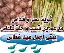 عيد الغطاس في الكنيسة الأرثوذكسية وطقوس البرامون واللقان وهذه رمزية القلقاس والقصب 3 382714132 197903056699291 6695749482053480364 n 20