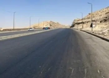محور صلاح سالم