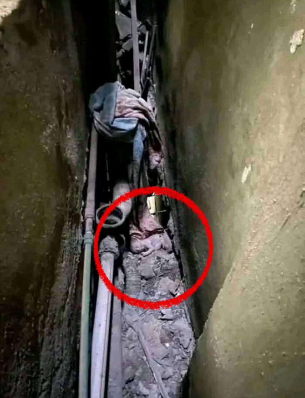 الكاميرات تكشف تفاصيل حادث مأساوي هز شبرا الخيمة طفلة تلقي برضيعتها خوفًا من الفضيحة 2 الكاميرات تكشف تفاصيل حادث شبرا الخيمة