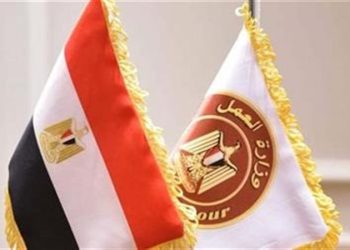 وزارة العمل