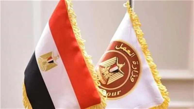 وزارة العمل تعلن عن فرص عمل جديدة في الأردن 2 وزارة العمل