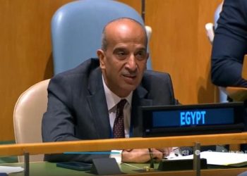 السفير أسامة عبد الخالق