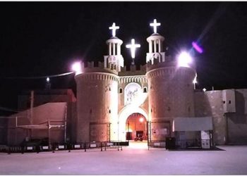 دير السيدة العذراء المحرق يكشف حقيقة انتشار النمل الأبيض داخله
